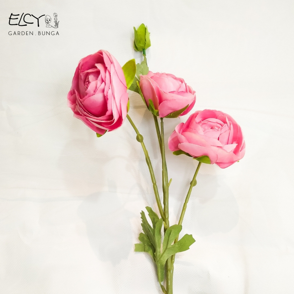 RANUNCULUS PINK