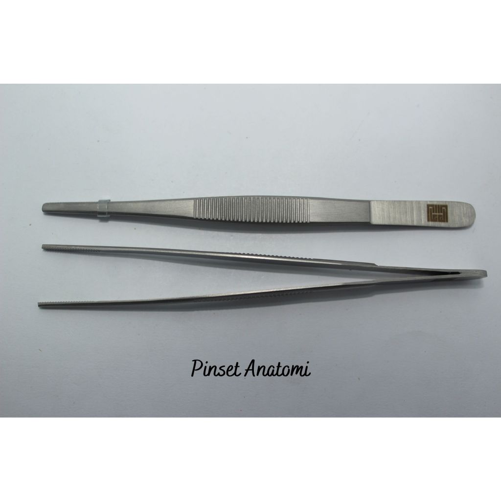 PINSET ANATOMY
