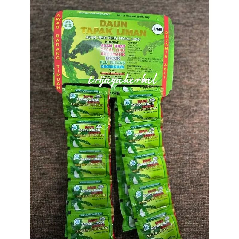 Daun Tapak Liman Kapsul