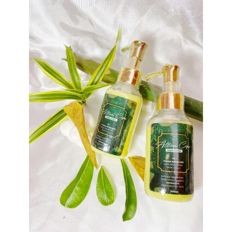 itana NIGHT lotion