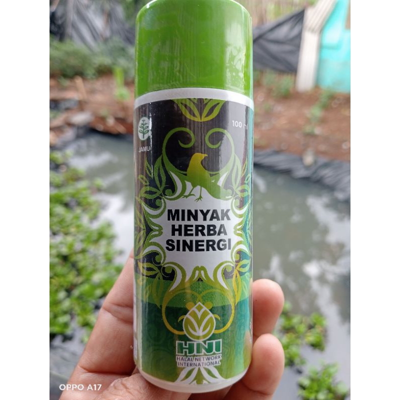 Minyak herbal sinergi