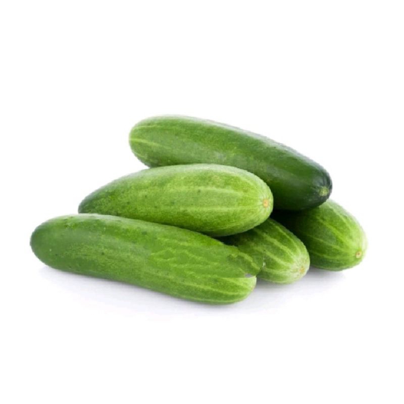 Buah Ketimun / Mentimun