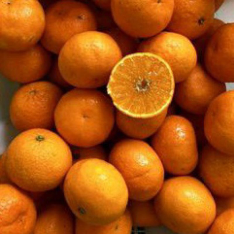 Jeruk Clemenvile 500gr
