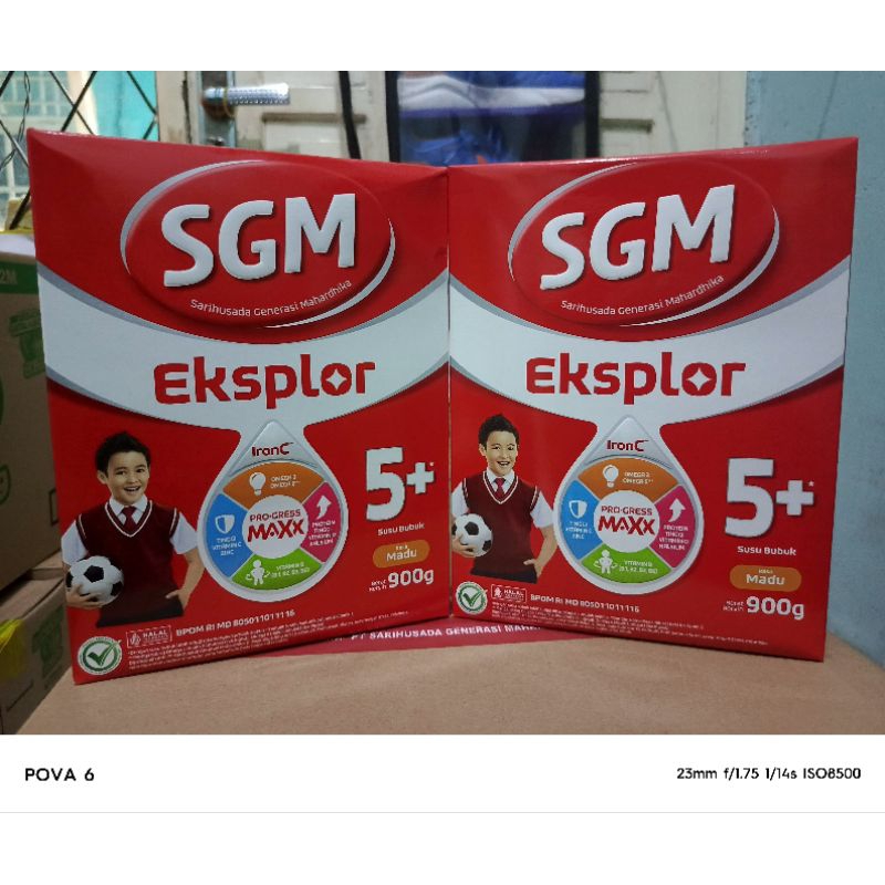 SGM 5+ Madu 900gram