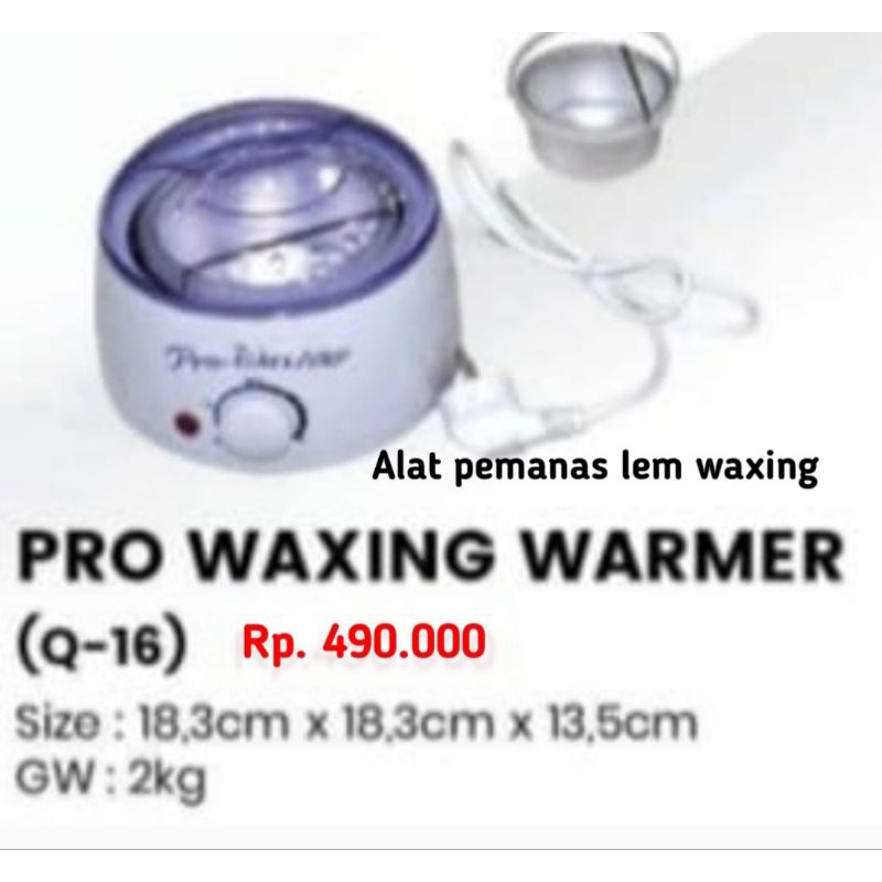 Pro Waxing Warmer