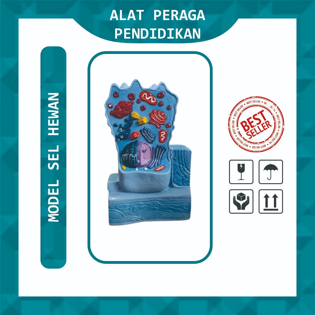 Alat Peraga Model Sel Hewan