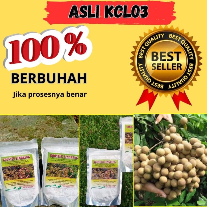 PENGIRIMAN CEPAT! Boster Klengkeng