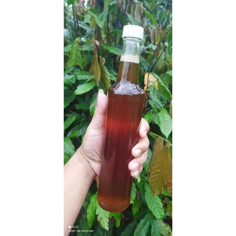 madu hutan
