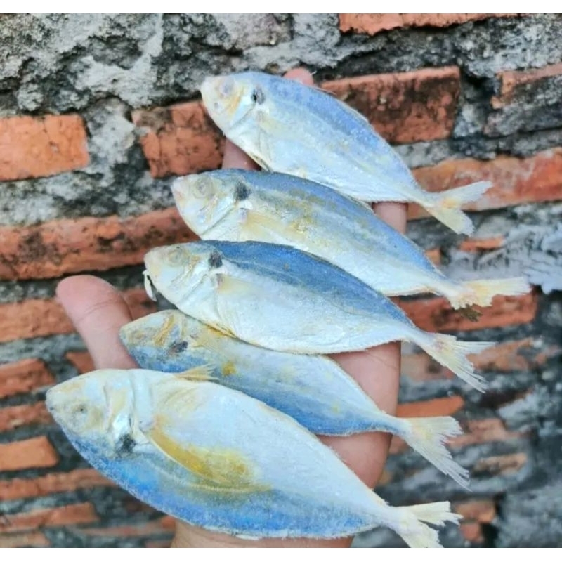 Ikan Asin Selar