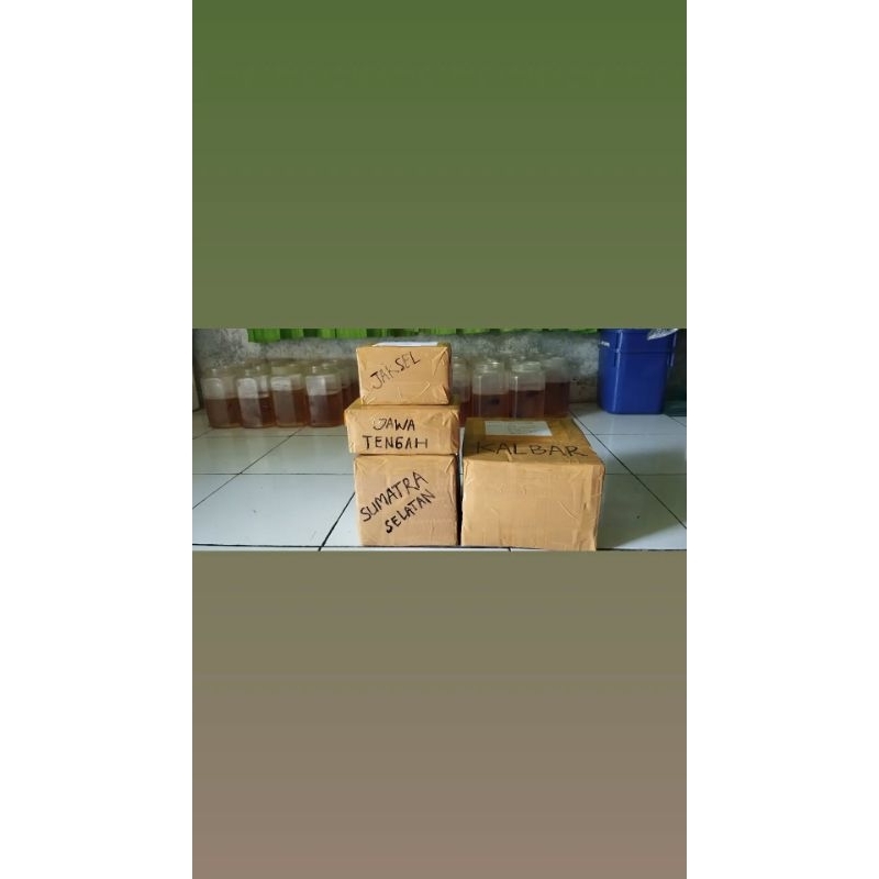 Obat Ikan Hias Jay Multi Betta