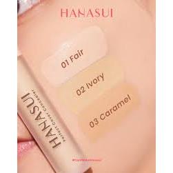 Hanasui Perfect Cover Concealer