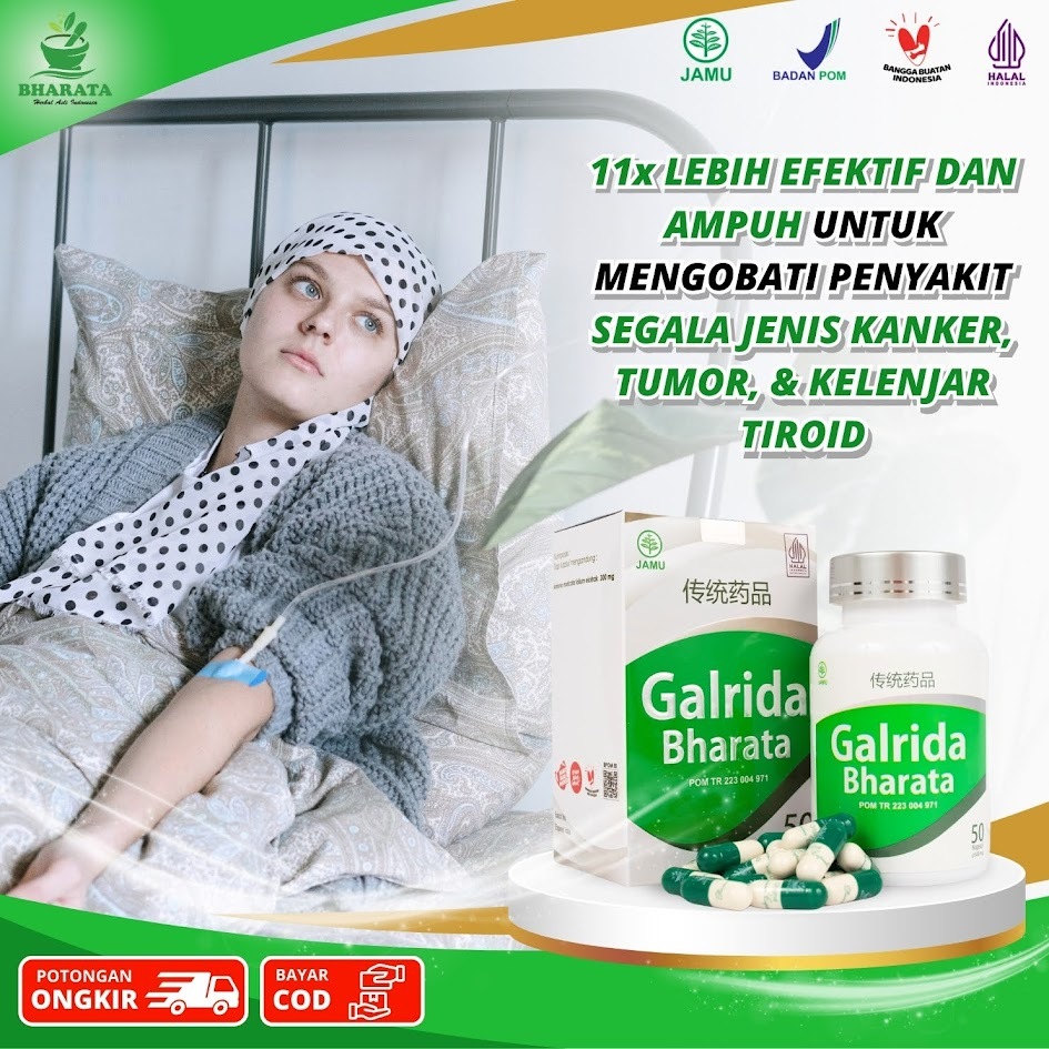 Galrida Bharata Asli Original