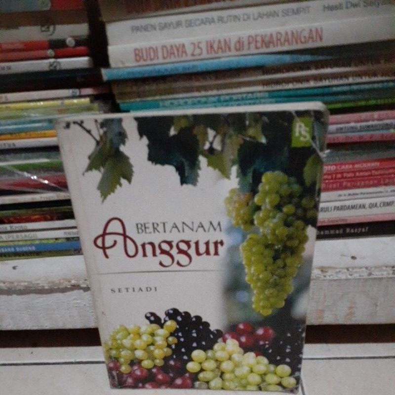 bertanam anggur