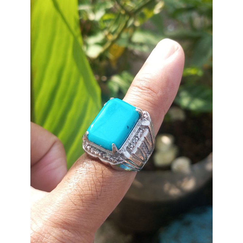 Bacan Doko Majiko cuting
