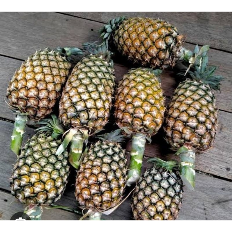 nanas 1 buah