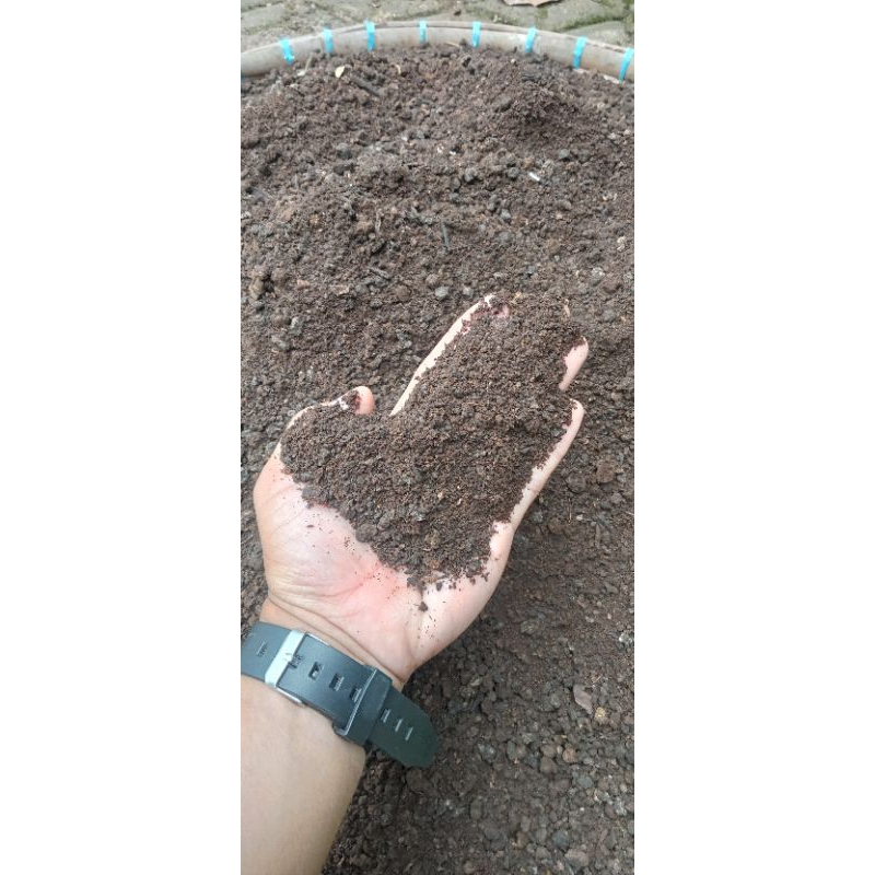 Pupuk Kotoran Domba