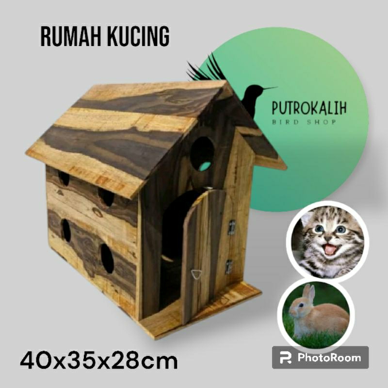 Rumah kucing dan kelinci model pintu