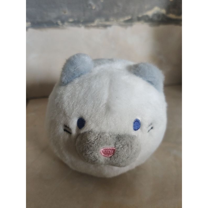 Funclaw Cute Cat