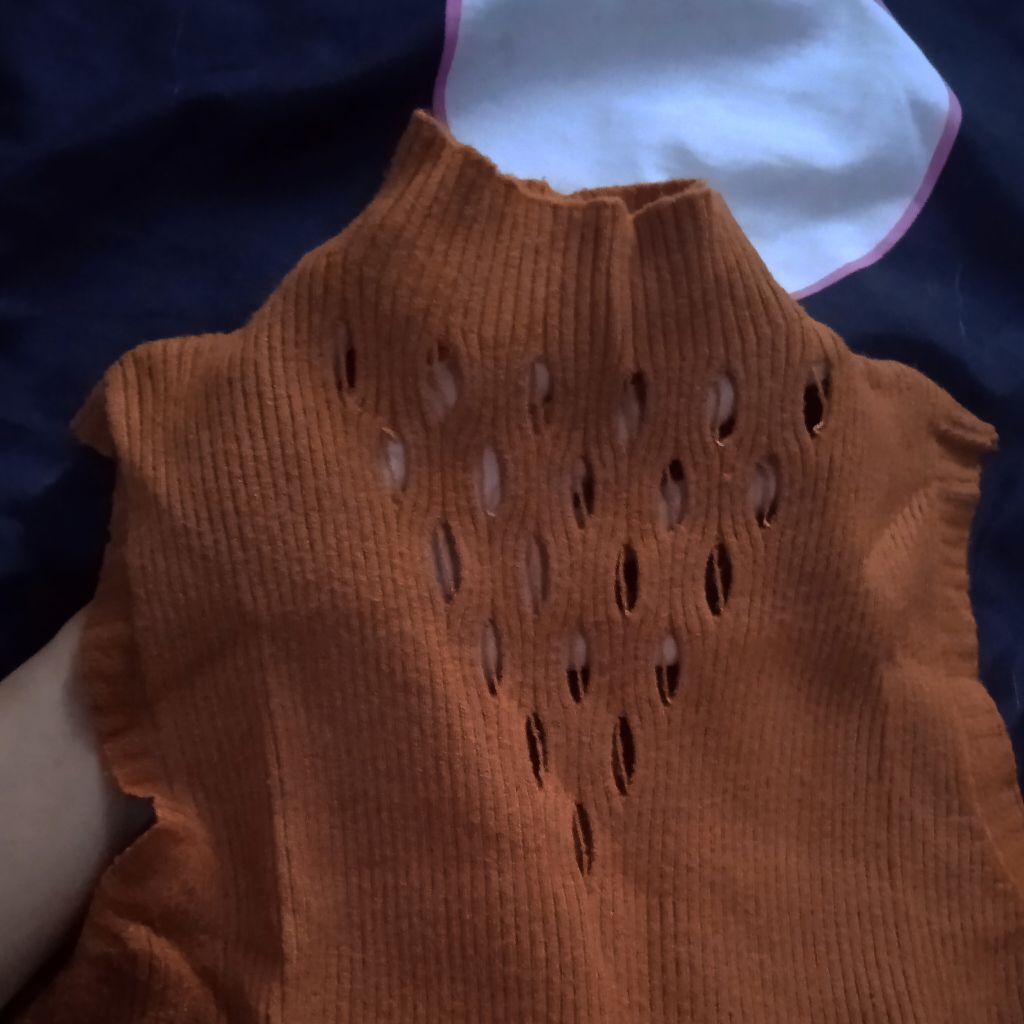 turtle neck top brown