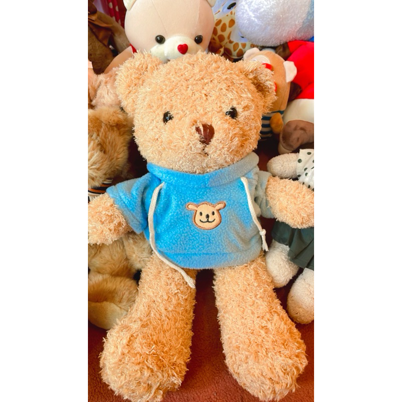 Boneka Lucu Murah Teddy Bear