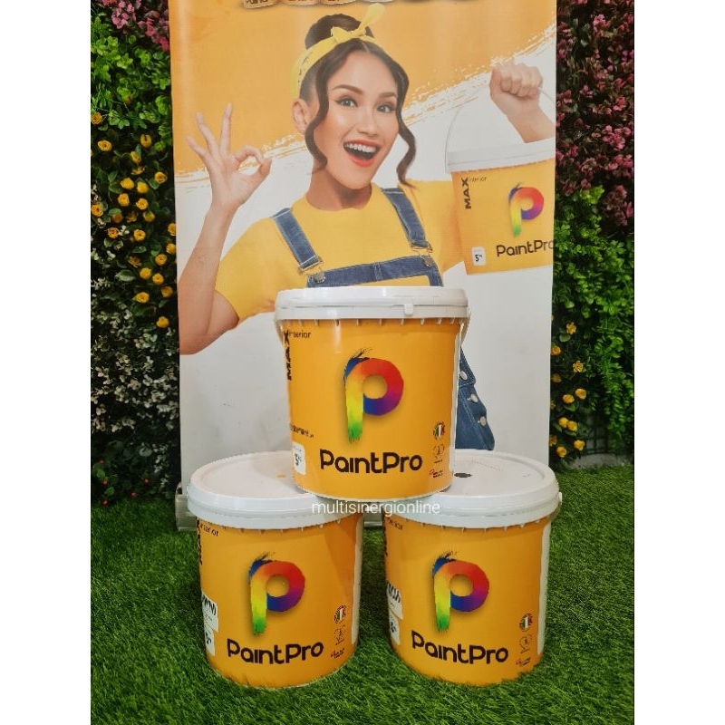 Cat Tembok PaintPro MAX INTERIOR 5KG