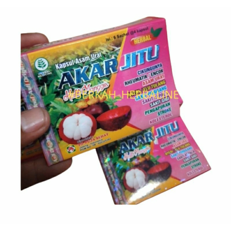 AKAR JITU sari manggis