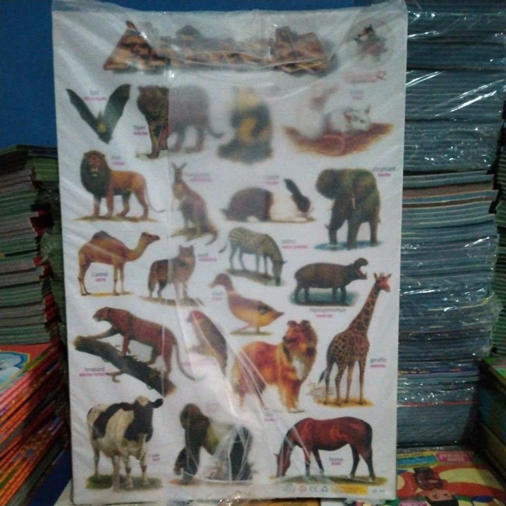 Poster Animals