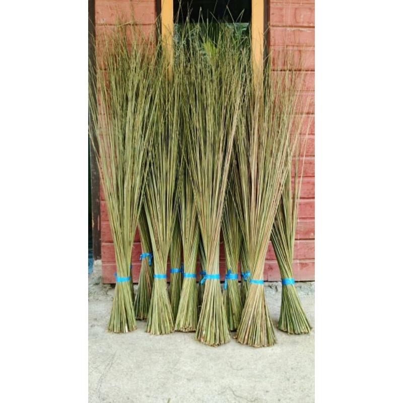sapu lidi aren