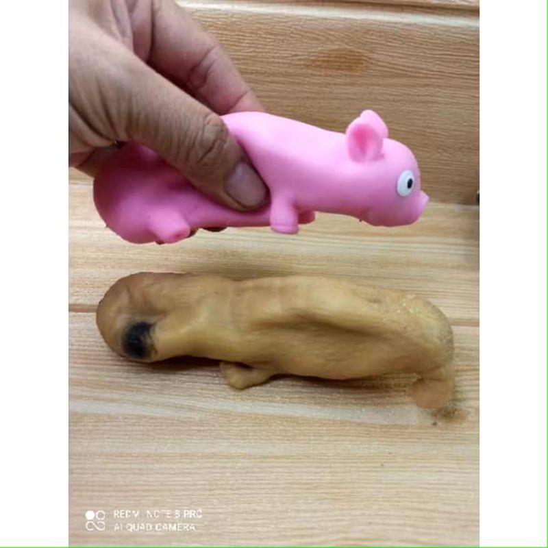 mainan squishy pasir model babi / anjing
