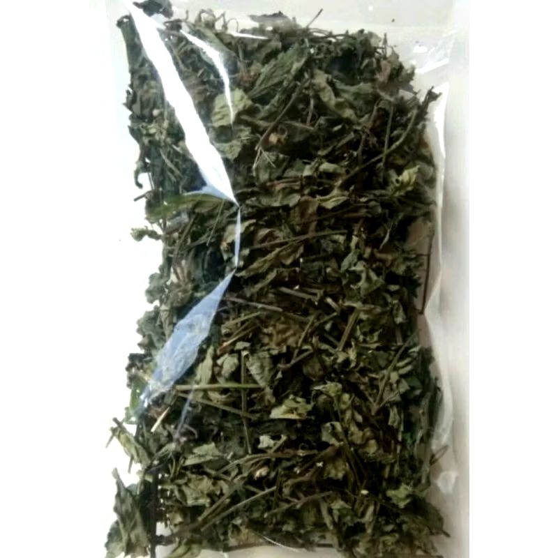 Daun Kumis Kucing Kering