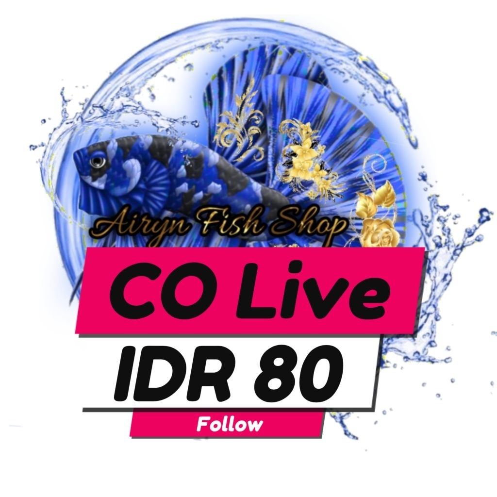 IDR 80 CO LIVE