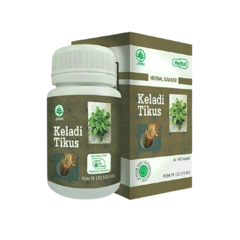 KELADI TIKUS OBAT HERBAL KANKER