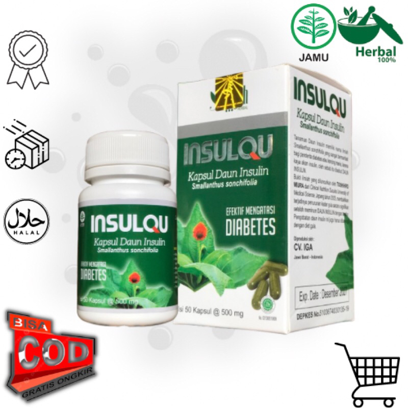 Kapsul Daun Insulin - INSULINFIT