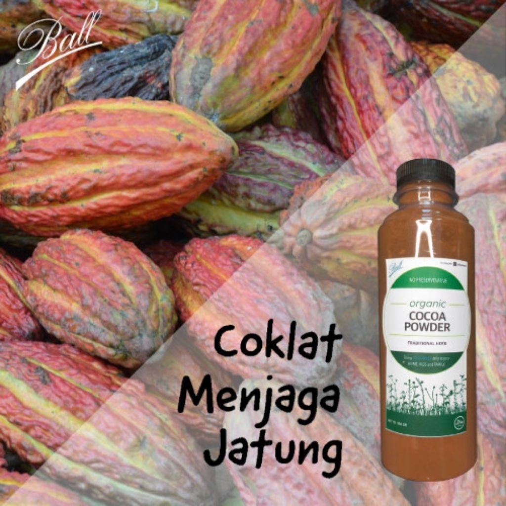 Coklat Bubuk tradisional