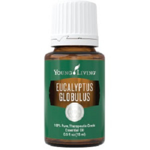 YL Essential Oil Eucalyptus Globulus 15 ml