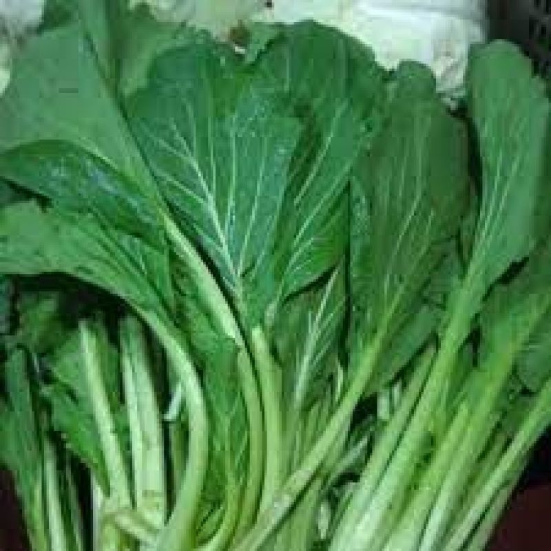 cesim/sawi ijo
