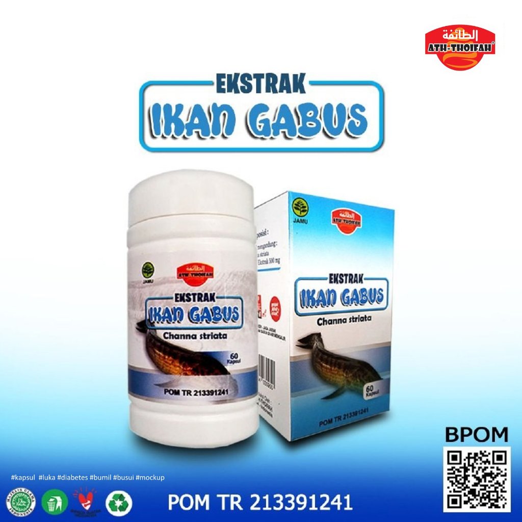 Kapsul Ekstrak Ikan Gabus 60 Caps