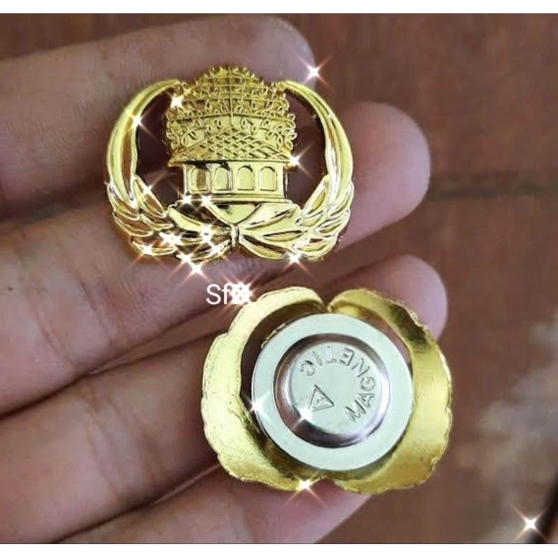 Pin Korpri