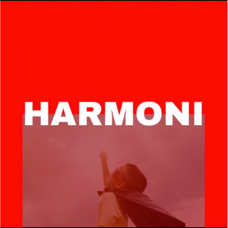 link co harmoni 10-30 rb + adm
