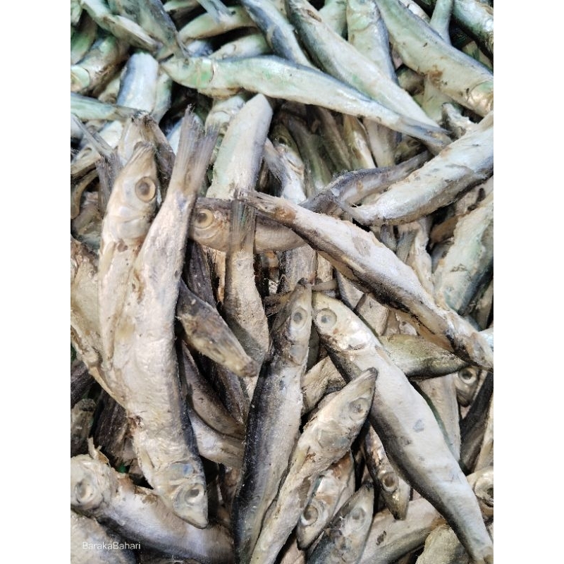 ikan japoh asin