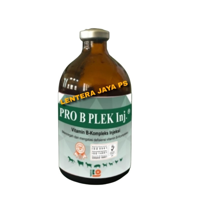 VITAMIN B KOMPLEK 100 ML