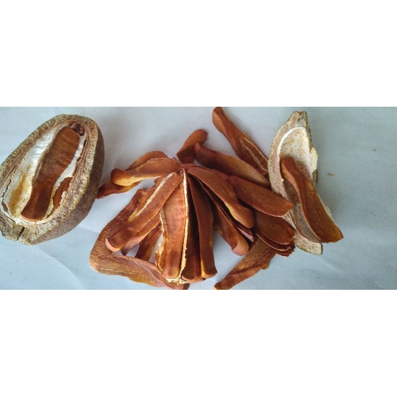 Biji pohon mahoni