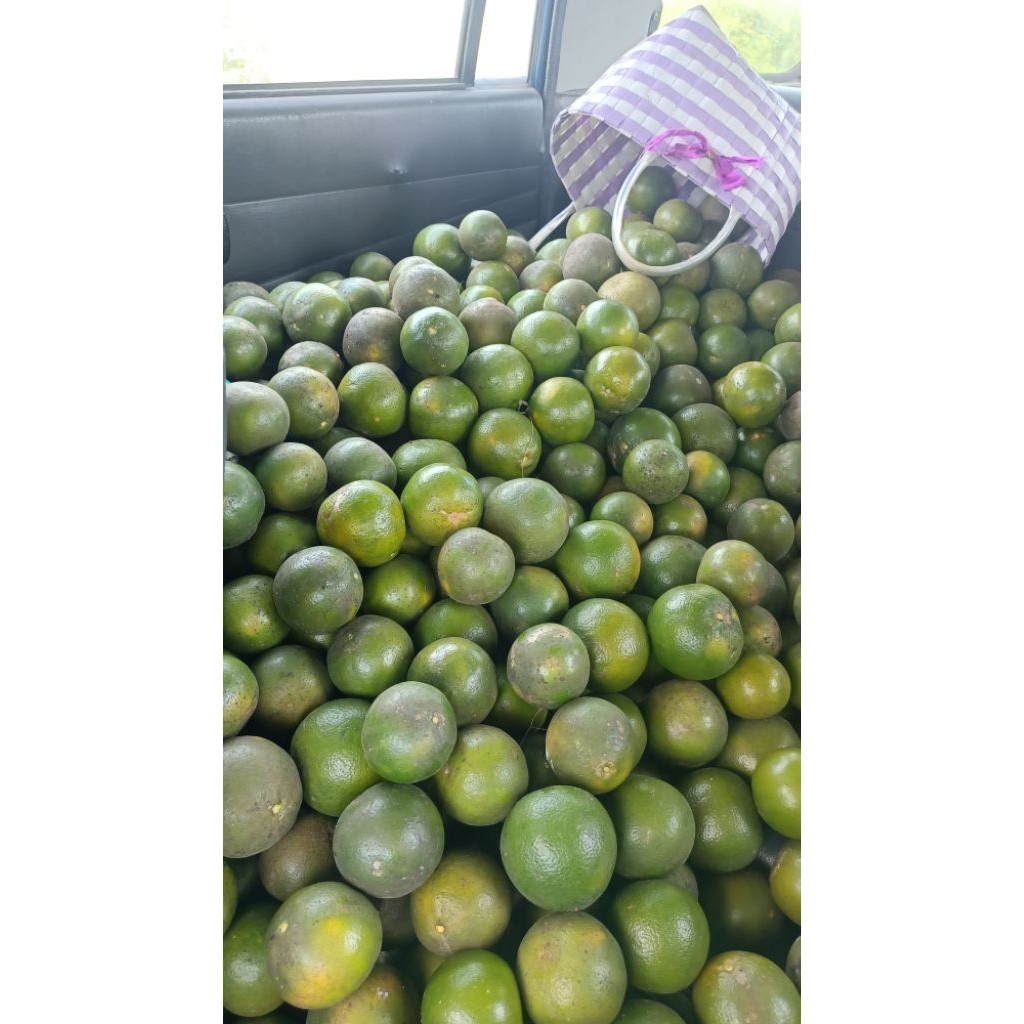 jeruk Semboro asli manis