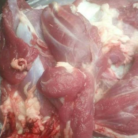 Daging Kambing
