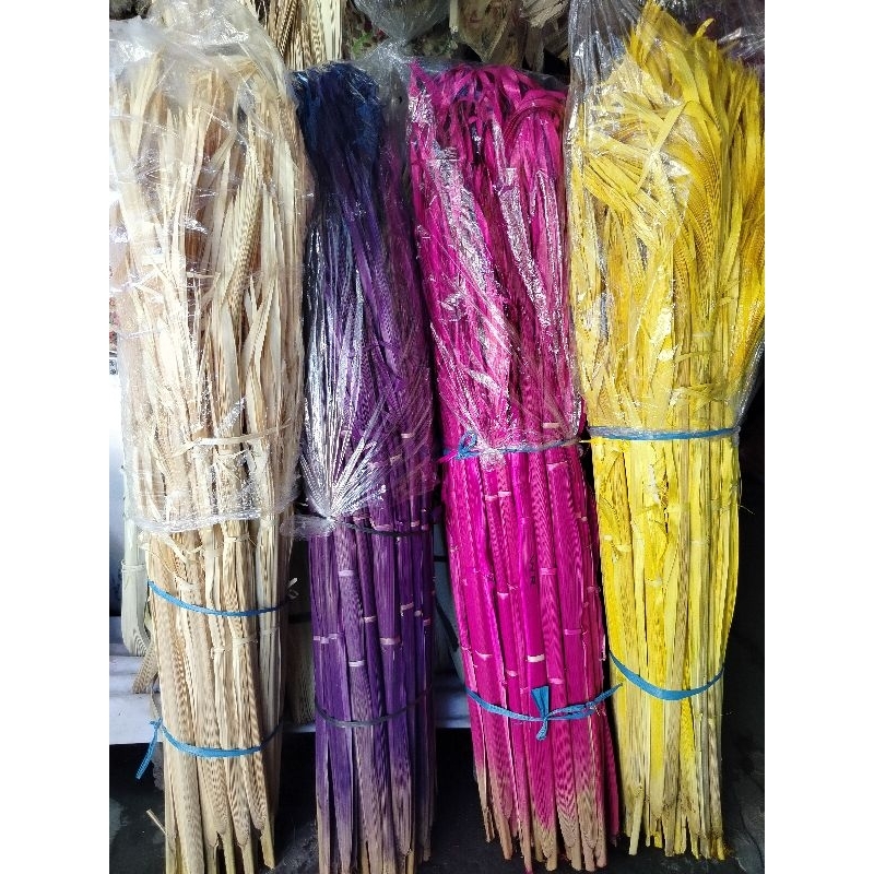 Busung ibung/Sulawesi