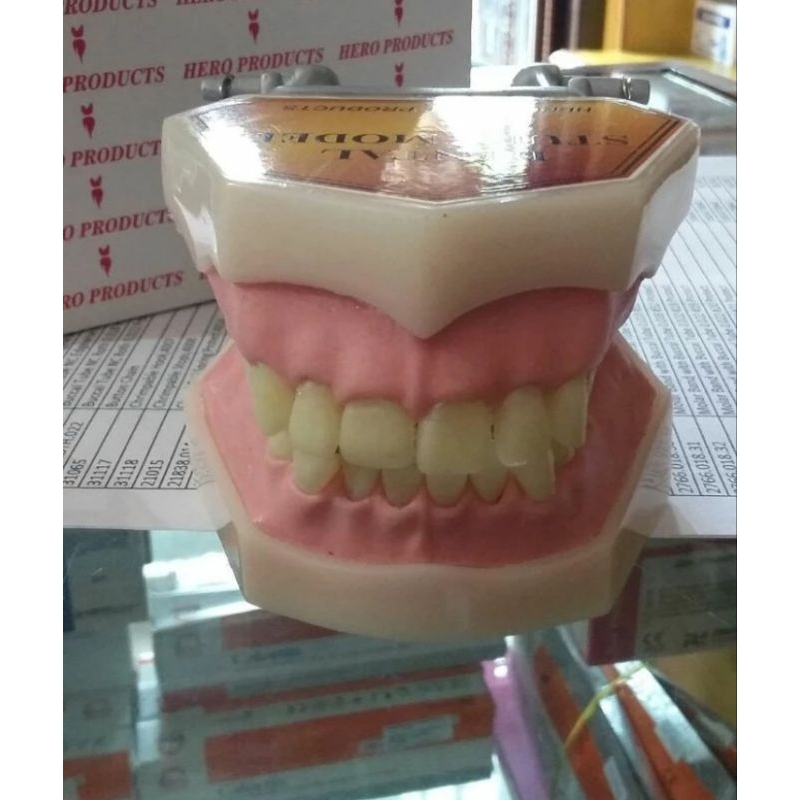 Dental study lepas pasang