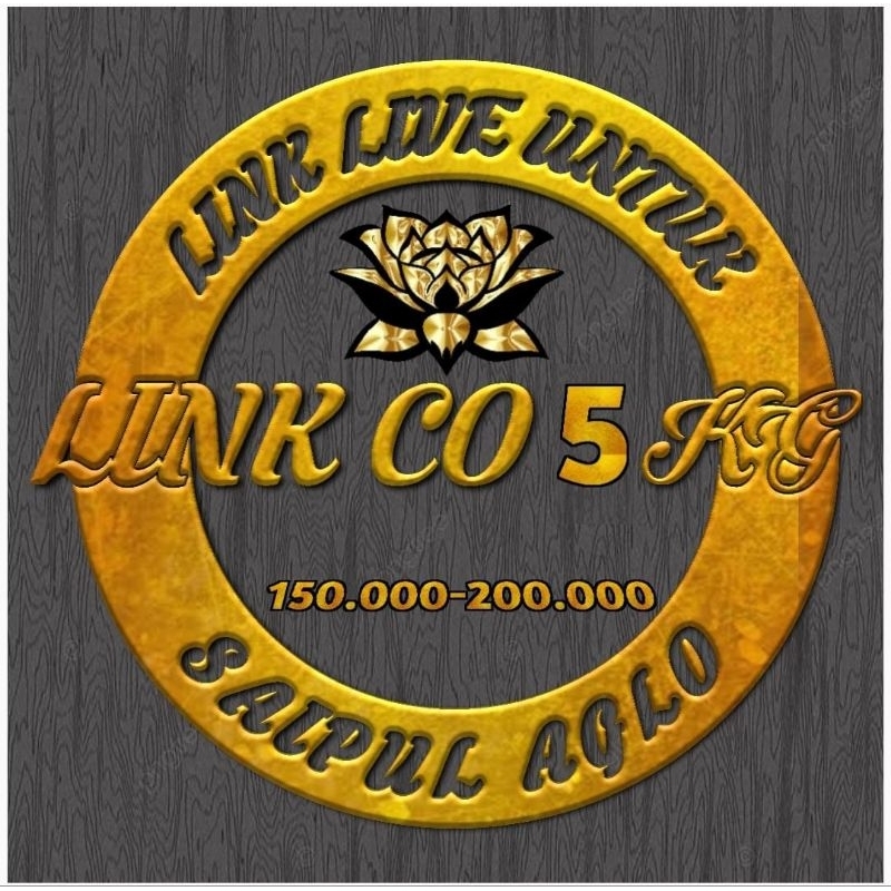 link co 5kg 150/200