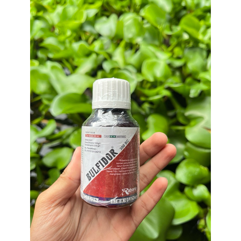 BULFIDOR 300 SC 80 ML