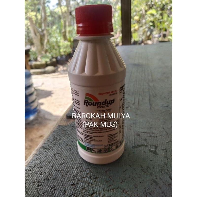Roundup
