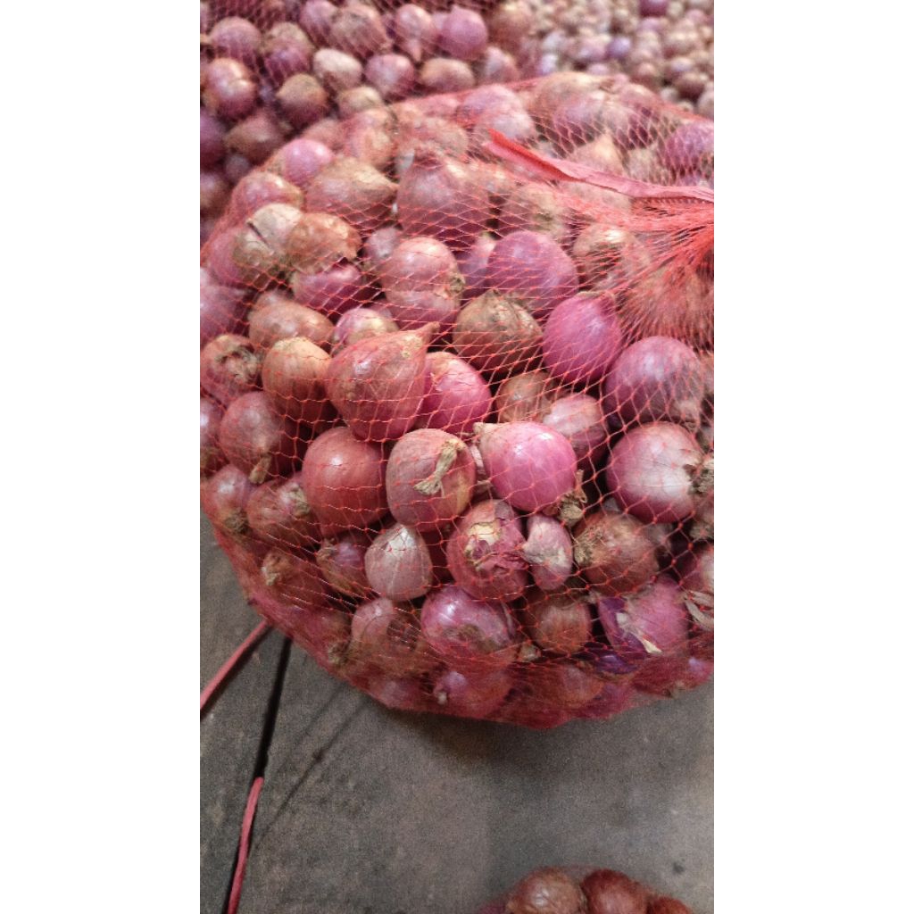 Bawang merah Bima super